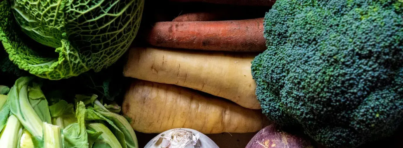 a close up shot of several different vegetables, like a white onion, three carrots, a head of broccoli, and kale.